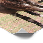 Soziale Stunde Poster (Ecke)