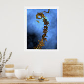 Soziales Klettern - Echelle sociale Poster (Küche)