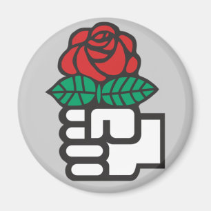 Sozialistischer Magnet