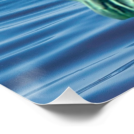 Sozialversicherung gerettet poster (Ecke)