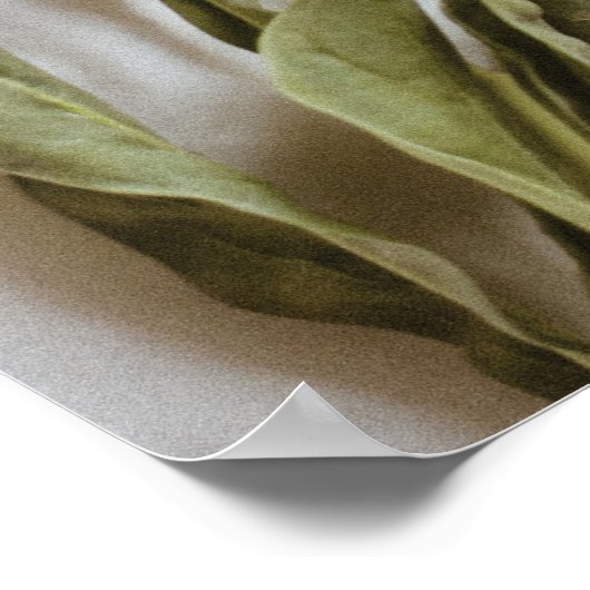 Spa Wellness Wall Art Poster (Ecke)