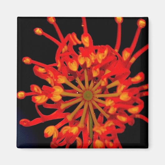 Space Blume Magnet (Vorne)