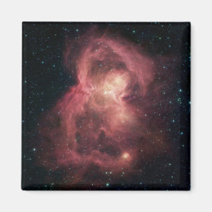 Space Butterfly Nebel Magnet