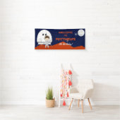 Space Explorer Banner (Insitu)