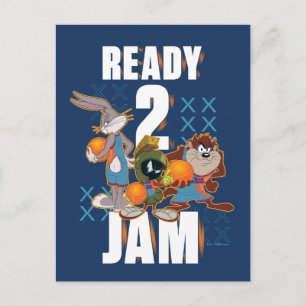 SPACE JAM: A NEW LEGACY™ Ready 2   Postkarte