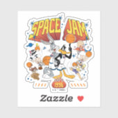 SPACE JAM™ TUNE SQUAD™ 1996 Grafik Aufkleber (Blatt)