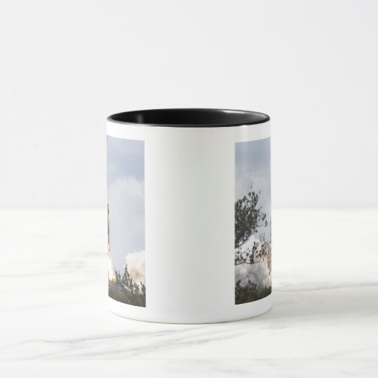Space Shuttle Atlantis hebt ab 5 Tasse (Zentrum)