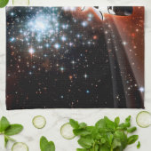 Space Shuttle Atlantis Hubble Telescope Artwork Geschirrtuch (Gefaltet)