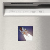 Space Shuttle Atlantis Magnet (In Situ (Geschirrspüler))