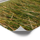 Space Shuttle Atlantis Poster (Ecke)