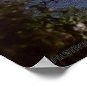 Space Shuttle Atlantis Poster (Ecke)