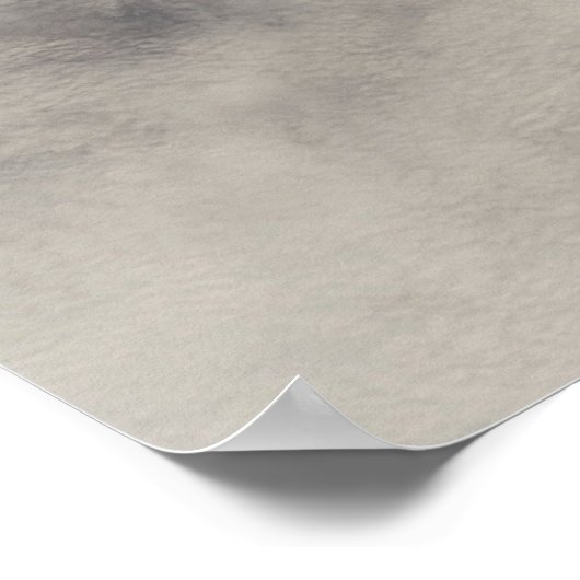 Space Shuttle Discovery (STS-119) Poster (Ecke)