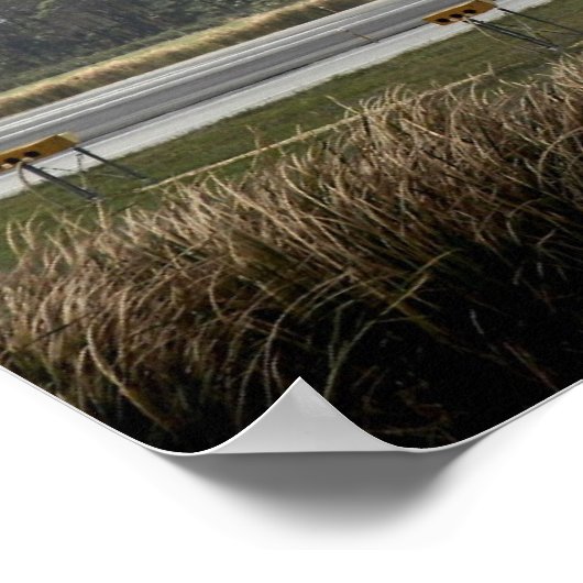 Space Shuttle Discovery (STS-119) Poster (Ecke)