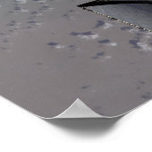 Space Shuttle Endeavour 15 Poster (Ecke)