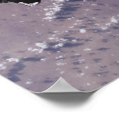 Space Shuttle Endeavour 24 Poster (Ecke)