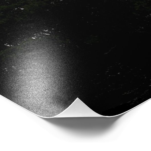 Space Shuttle Endeavour hebt 2 Fotodruck (Ecke)