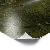 Space Shuttle Endeavour hebt 4 Fotodruck (Ecke)