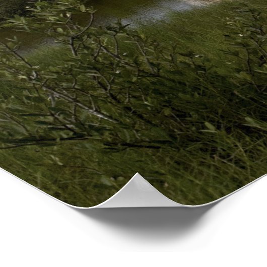 Space Shuttle Endeavour hebt 4 Poster (Ecke)