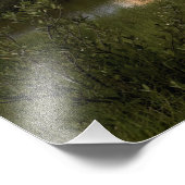 Space Shuttle Endeavour hebt 5 Fotodruck (Ecke)