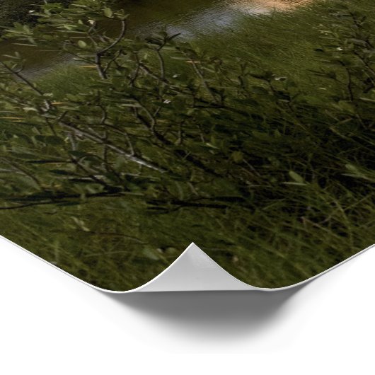 Space Shuttle Endeavour hebt 5 Poster (Ecke)