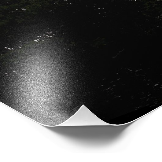 Space Shuttle Endeavour hebt ab Fotodruck (Ecke)