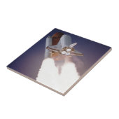 Space Shuttle Fliese (Seite)