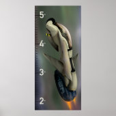 SpaceShip Growth Chart Poster (Vorne)