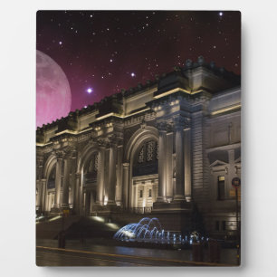 Spacey Metropolitan Museum Fotoplatte