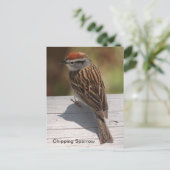 Spachtelammer (A) Postkarte (Stehend Vorderseite)