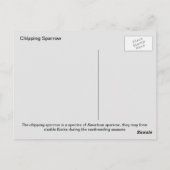 Spachtelammer (A) Postkarte (Rückseite)