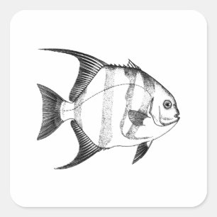 Spadefish Illustration Quadratischer Aufkleber