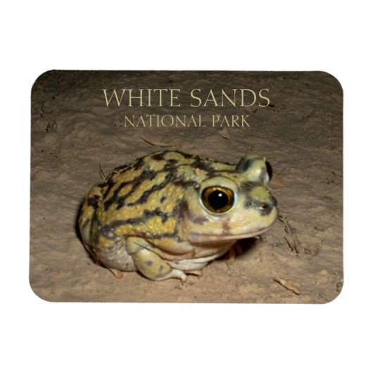 Spadefoot Toad, Nationalpark des weißen Sandes Magnet (Horizontal)