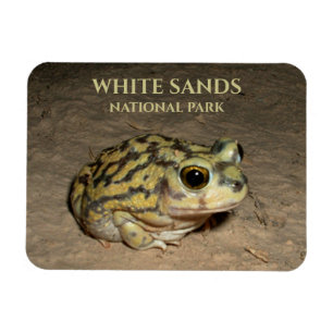 Spadefoot Toad, White Sands Nationalpark Postcard Magnet