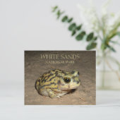 Spadefoot Toad, White Sands Nationalpark Postcard Postkarte (Stehend Vorderseite)
