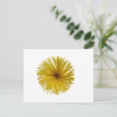 Spaghetti-Blume Postkarte (Stehend Vorderseite)
