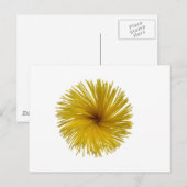 Spaghetti-Blume Postkarte (Vorne/Hinten)