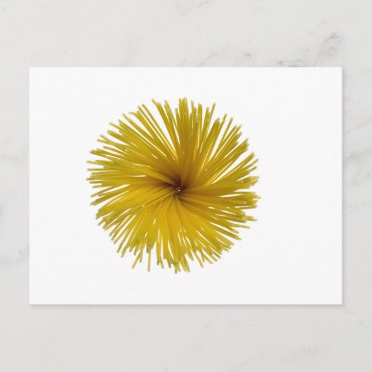 Spaghetti-Blume Postkarte (Vorderseite)