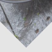 Spaghetti Carbonara Pasta mit Bacon und Parmesan Seidenpapier (Ausschnitt)