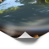 Spaghetti mit Creamy Spinach Sauce Poster (Ecke)