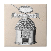 Spagyric Kräutermedizin