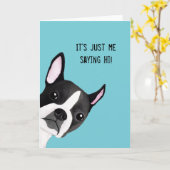 Spähen Boston-Terrier-der illustrierten Gruß-Karte Karte (Gelbe Blume)