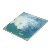 Spähen der Manatis-Fliese Fliese (Seite)