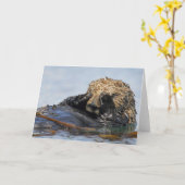 Spähen der Seeotter-Karte Karte (Gelbe Blume)
