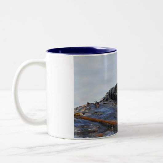 Spähen der Seeotter-Tasse Zweifarbige Tasse (Links)