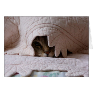 Spähen von Tom-Karte