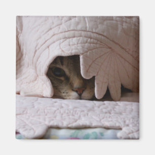 Spähen von Tom-Magneten Magnet