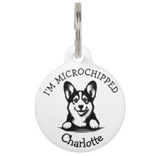 Spähender schwarzer Corgi-Welpe Haustiermarke
