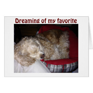 SPAINIEL IST "DREAMING OF FAV PERSON-"YOU"