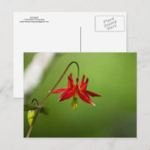 Spalte 01 postkarte (Vorne/Hinten)