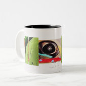 Spalte 14 zweifarbige tasse (Vorderseite Links)